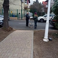 Campanie de informare în Sectorul 2: Stăpânii de câini sunt avertizați să strângă mizeria lăsată de patrupede