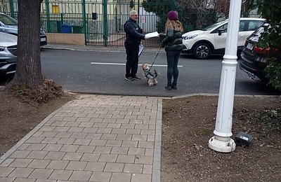 Campanie de informare în Sectorul 2: Stăpânii de câini sunt avertizați să strângă mizeria lăsată de patrupede