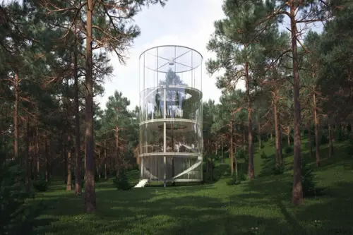 O casa de sticla construita in jurul unui brad de 12 metri