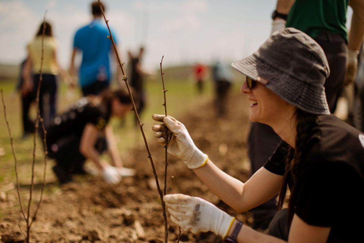 Sâmbătă, 22 aprilie, a avut loc la o acțiune de plantare de copaci organizată de Electric Castle