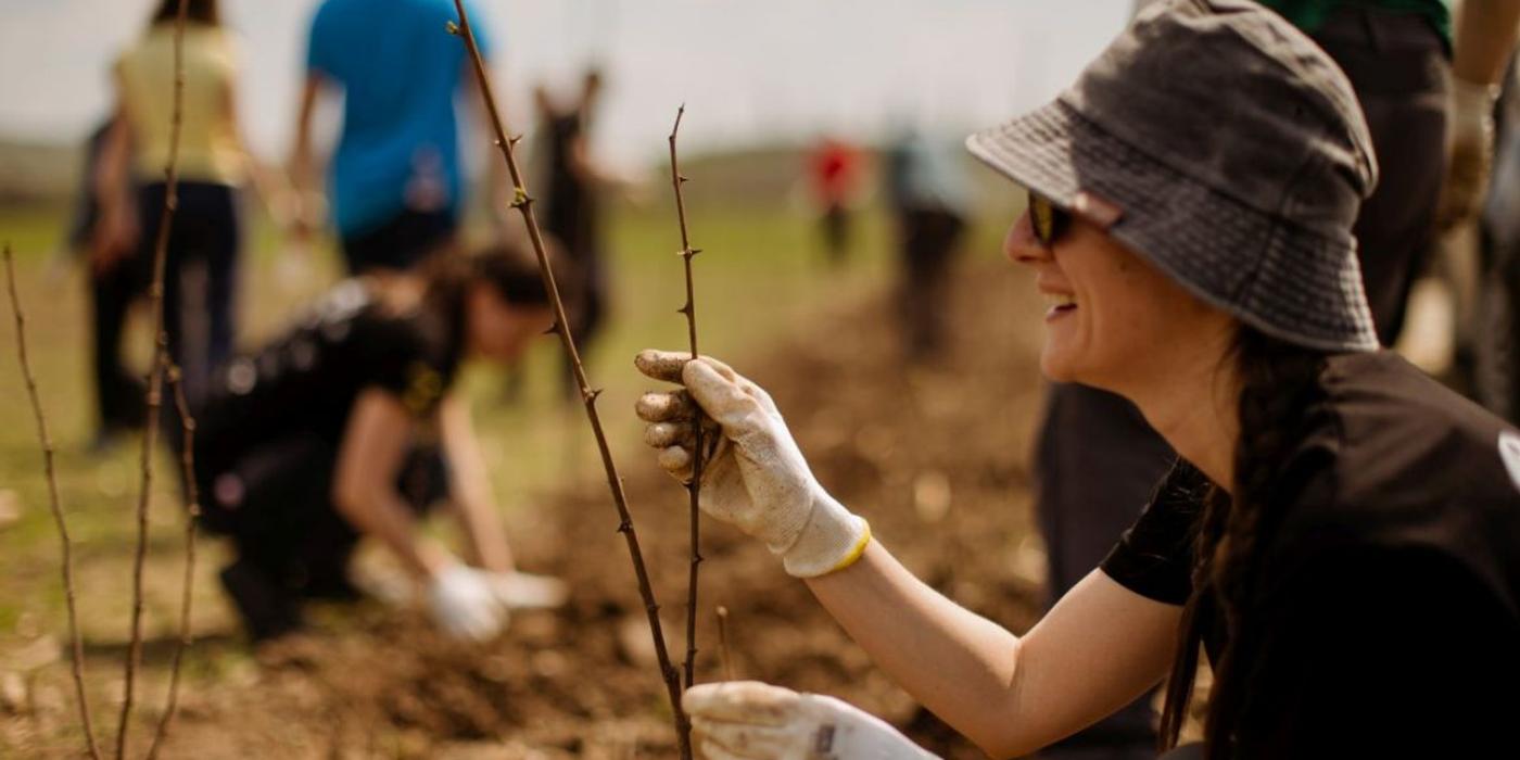 Sâmbătă, 22 aprilie, a avut loc la o acțiune de plantare de copaci organizată de Electric Castle