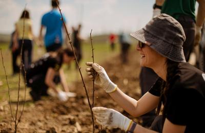 Sâmbătă, 22 aprilie, a avut loc la o acțiune de plantare de copaci organizată de Electric Castle