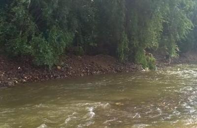 1100 de tone de deșeuri a adaunat Primăria Florești de pe malurile Someșului, în urma unei acțiuni de igienizare