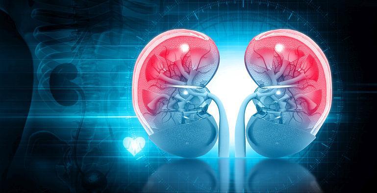 Ce poate determina apariția cancerului renal? Aflați părerea unui specialist