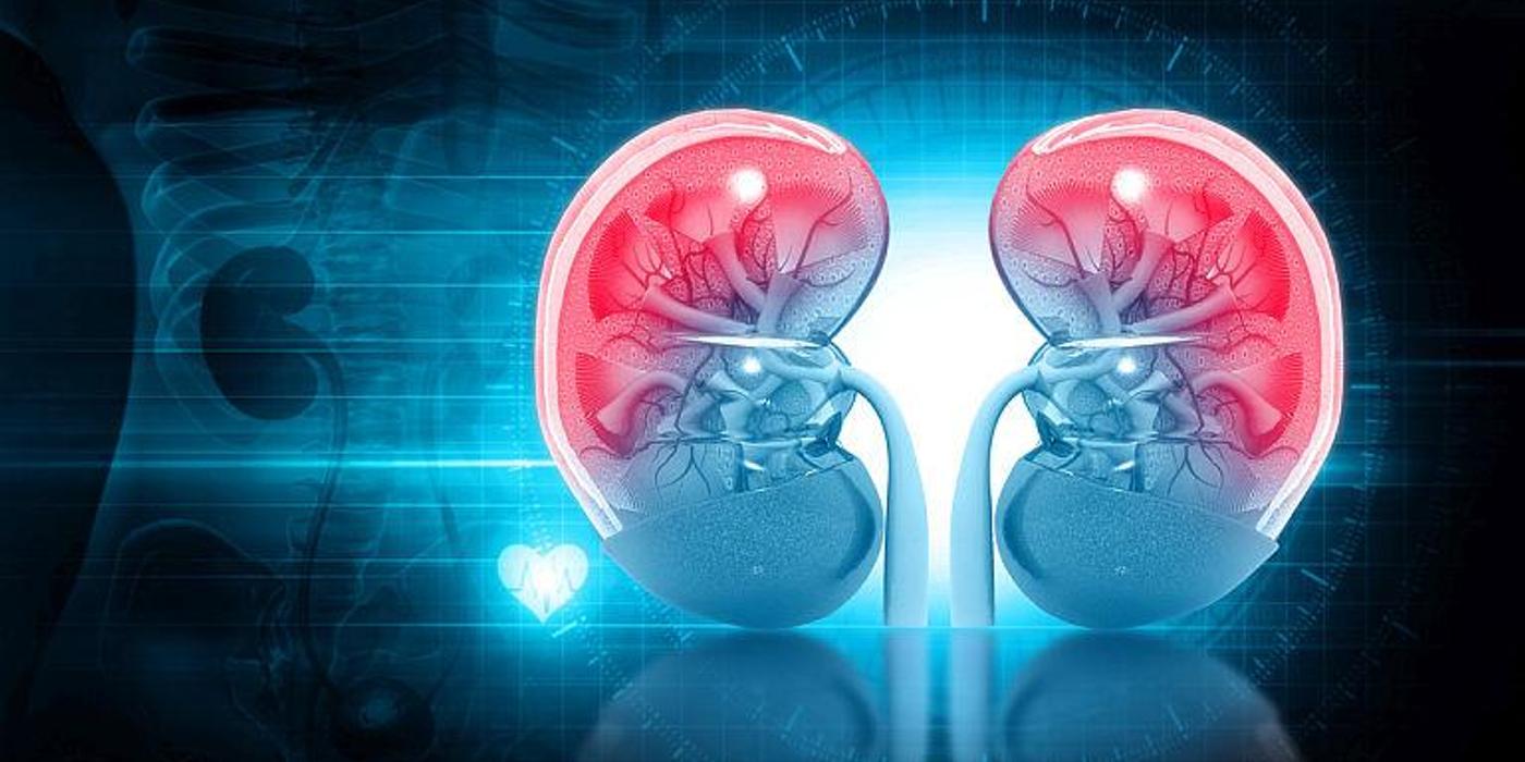 Ce poate determina apariția cancerului renal? Aflați părerea unui specialist