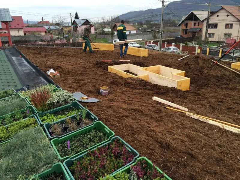 Cob Village Berca: Complex turistic amenajat din case de lut cu acoperisuri verzi