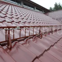 Ghidul tau pentru alegerea parazapezilor pentru acoperis plus o idee de furnizor, pentru a comanda