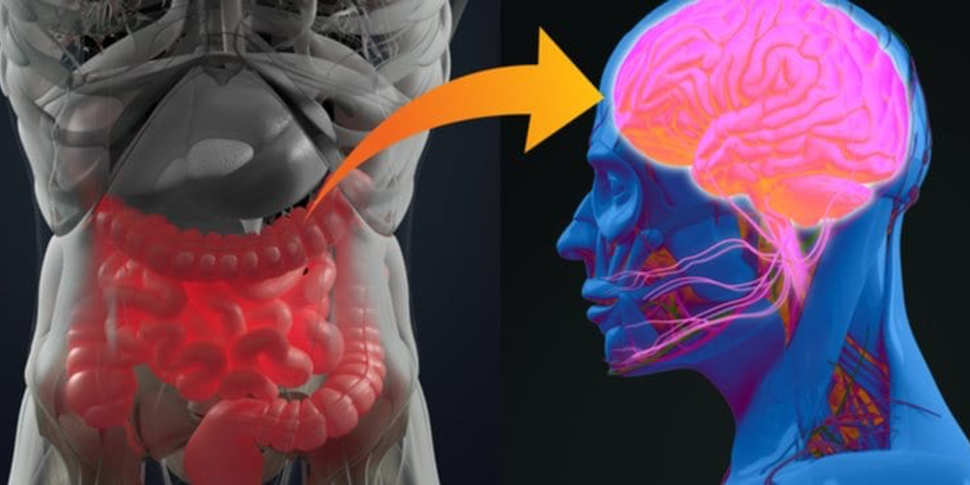 Legătura dintre intestin și creier: ce este și cum te afectează