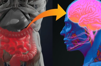 Legătura dintre intestin și creier: ce este și cum te afectează