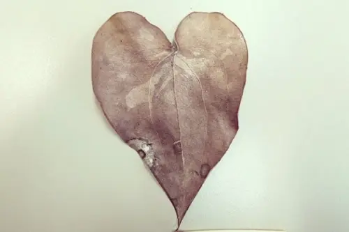 Dudi Ben Simon realizeaza niste ansambluri deosebite din obiecte din viata de zi cu zi