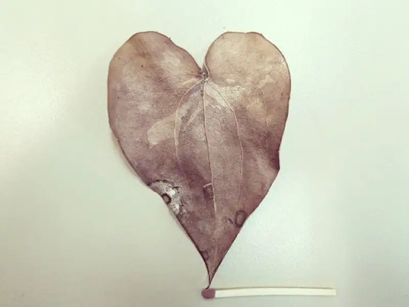 Dudi Ben Simon realizeaza niste ansambluri deosebite din obiecte din viata de zi cu zi