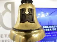 Bursa scade din nou, dar într-un ritm mai temperat