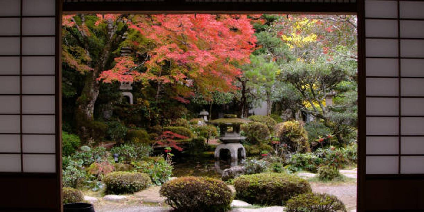 Tendințe în amenajarea grădinilor: stiluri actuale