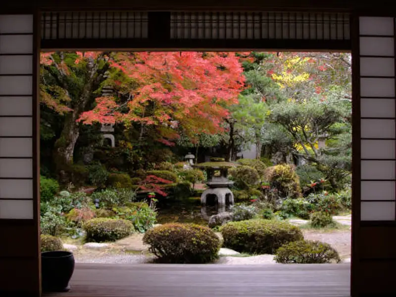 Tendințe în amenajarea grădinilor: stiluri actuale