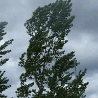 Prognoza meteo, 26 martie. Temperaturi de până la 21 de grade. Frigul se întoarce la început de weekend