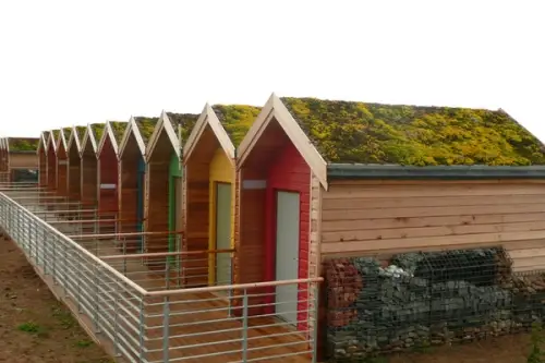 Acoperisurile vegetale solutii pentru inverzirea peisajului urban