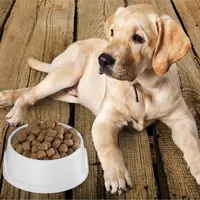 Cum alegi hrana pentru câinele tău în funcție de vârstă