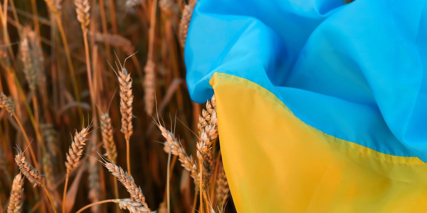 Polonia şi Ungaria anunţă că vor continua să interzică importurile de cereale ucrainene după ce UE a ridicat restricţiile. Budapesta pune pe listă 24 de produse