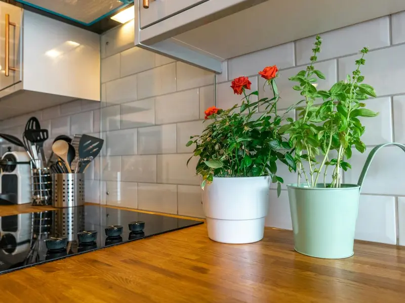 Cum să alegi mobilierul pentru amenajarea bucătăriei? 4 sfaturi și recomandări utile