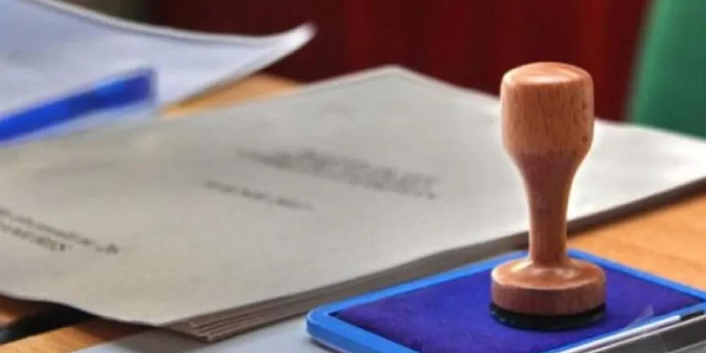 Când merg românii la vot. Guvernul României a aprobat calendarul electoral pentru alegerile europarlamentare și locale