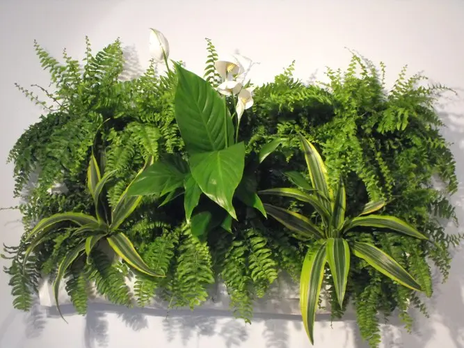 Tablourile vegetale accesorii decorative pentru armonizarea locuintei cu natura