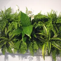 Tablourile vegetale accesorii decorative pentru armonizarea locuintei cu natura