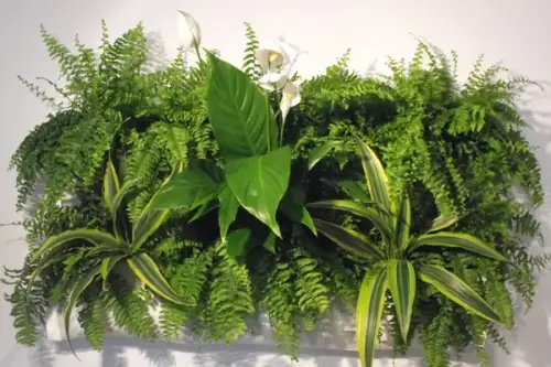 Tablourile vegetale accesorii decorative pentru armonizarea locuintei cu natura