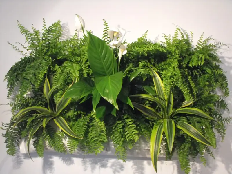 Tablourile vegetale accesorii decorative pentru armonizarea locuintei cu natura