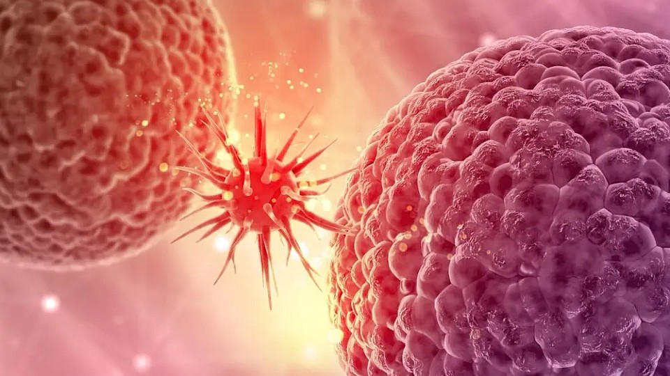 Studiu amplu: ce factori cresc riscul de cancer și pot fi controlați