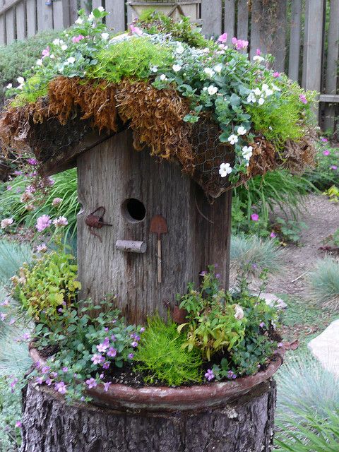 22 de casute unice si superbe pentru pasarile din gradina ta