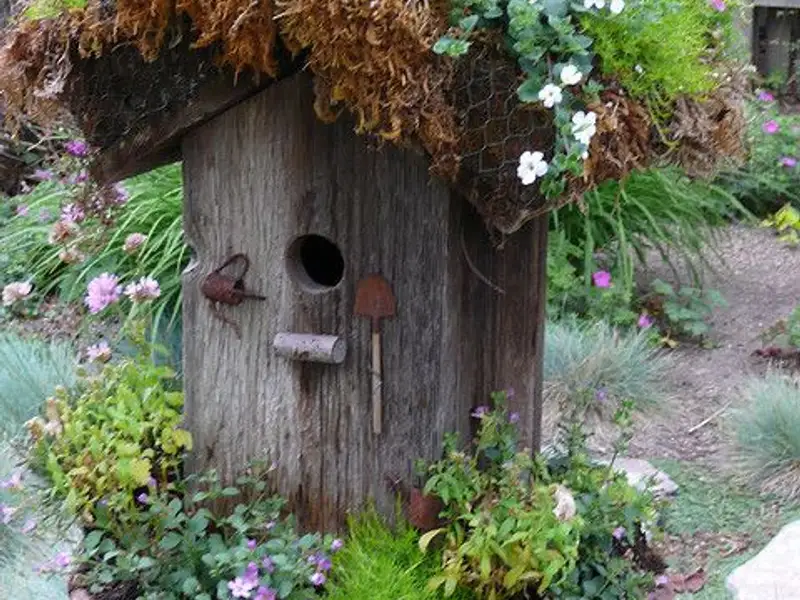 22 de casute unice si superbe pentru pasarile din gradina ta