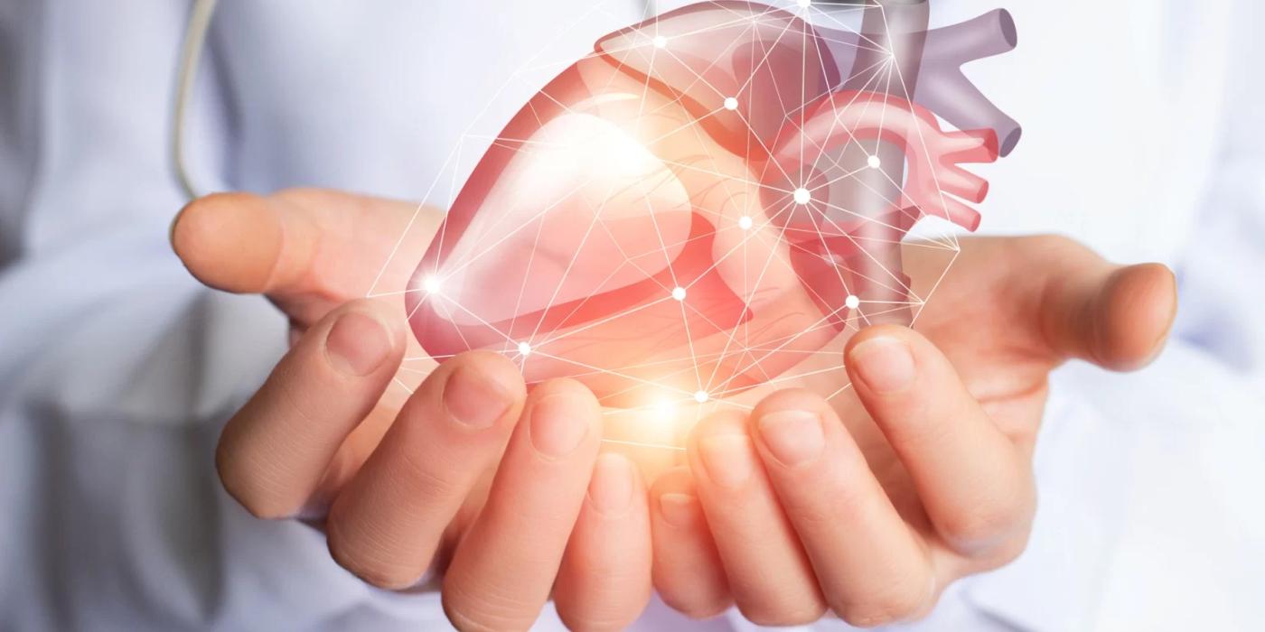 Cauzele bolilor de inimă