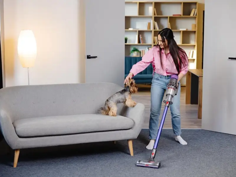 Trucuri pentru aspirarea casei când ai un câine