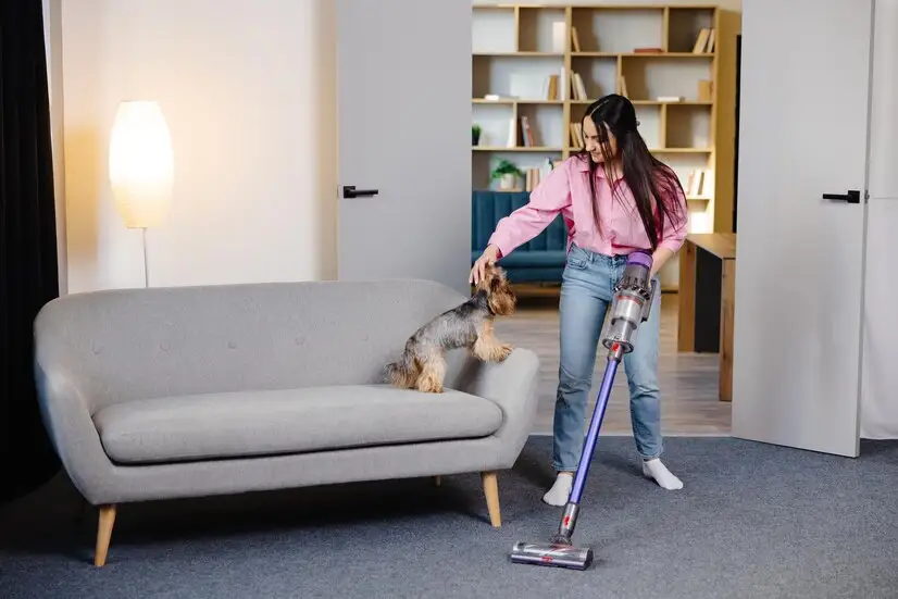 Tips for Vacuuming Your Home When You Have a Dog