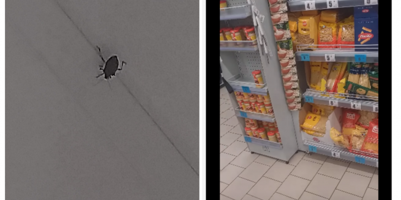 Gândaci și ploșnițe la un magazin Profi din cartierul Mărăști