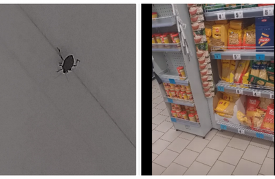 Gândaci și ploșnițe la un magazin Profi din cartierul Mărăști