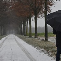 Prognoza meteo, 7 decembrie. Vreme mohorâtă în a doua zi de weekend. Ploile trecătoare apar izolat