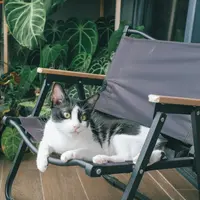 Cum să-ți organizezi balconul pentru a crea un colț de relaxare perfect