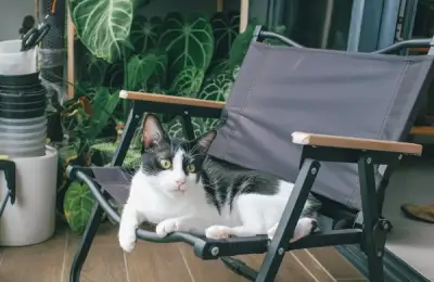How to Organize Your Balcony for the Perfect Relaxation Corner