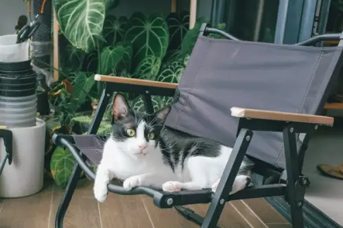 Cum să-ți organizezi balconul pentru a crea un colț de relaxare perfect