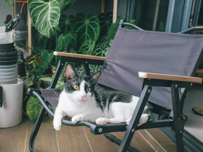 Cum să-ți organizezi balconul pentru a crea un colț de relaxare perfect