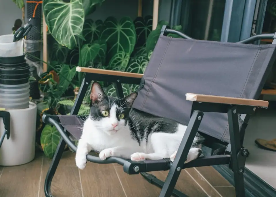 How to Organize Your Balcony for the Perfect Relaxation Corner