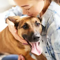 Beneficiile adoptării unui câine de la adăpost, cum să alegi un animal adoptabil și cum să-l integrezi în familie