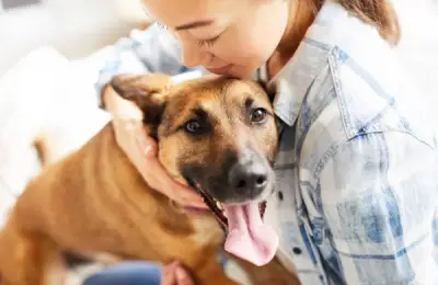 The Benefits of Adopting a Dog from a Shelter: How to Choose an Adoptable Animal and Integrate It into Your Family
