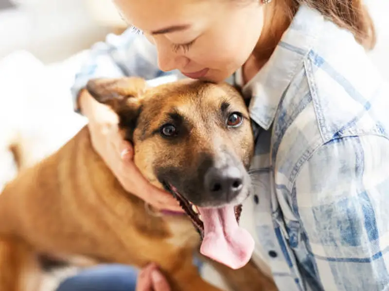 Beneficiile adoptării unui câine de la adăpost, cum să alegi un animal adoptabil și cum să-l integrezi în familie