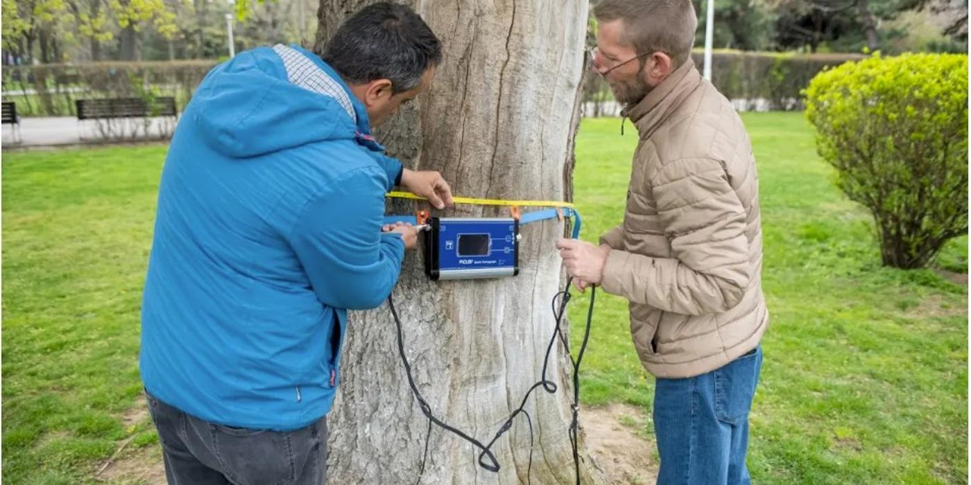 Sectorul 6 a achiziționat un tomograf pentru arbori