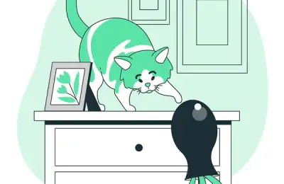 The Importance of Routine and Playtime for Cats