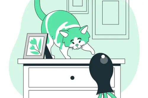 Importanța rutinei și a timpului de joacă pentru pisici