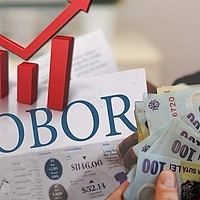 Nicușor Dan a însănătoșit brusc ROBOR-ul care a scăzut la 7,26% / Leul s-a apreciat și el față de euro