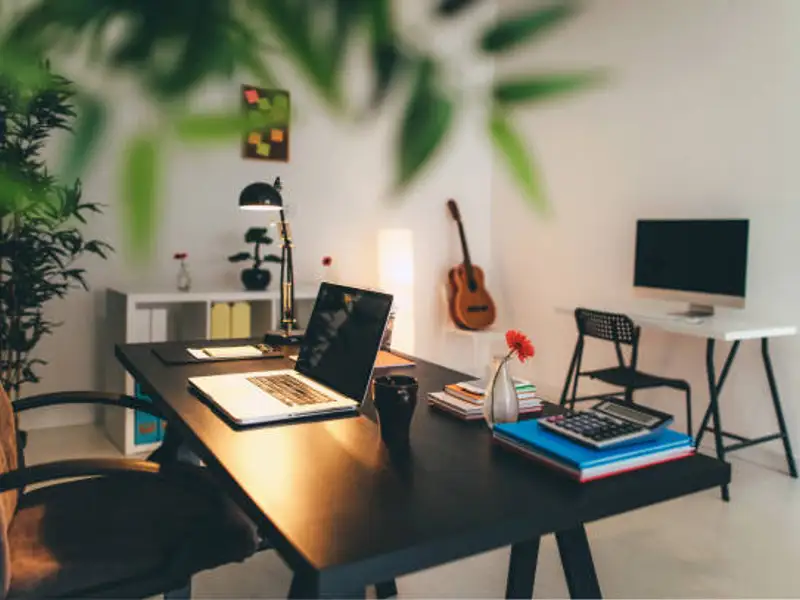 Cum să dai viață biroului tău de acasă cu ajutorul plantelor verzi